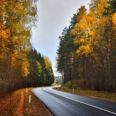 Riga, Letonya, Baltık Devletleri yanında renkli bir sonbahar ormandaki yeni Otoban yol.