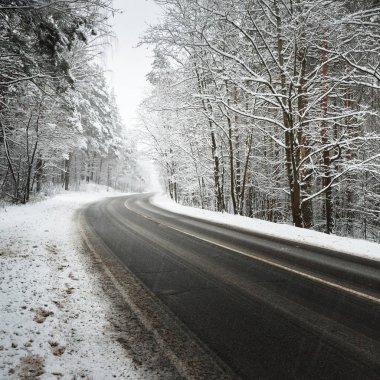 Letonya karla kaplı bir ormandaki eğri asfalt yol