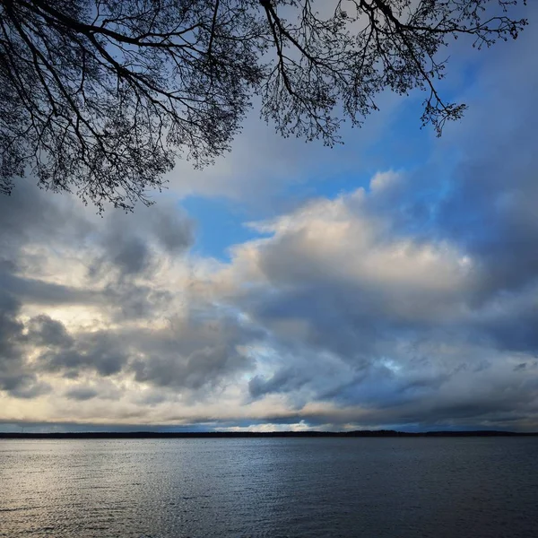 Sjön Landskap Med Trädgrenar Stormen Höst Kisezers Riga Lettland — Stockfoto