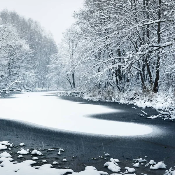 Lesní Jezero Čerstvým Sněhem Povrchu Lotyšsku — Stock fotografie