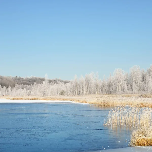 Lac Bleu Gelé Entouré Prairies Enneigées Forêts Couvertes Rime Hiver — Photo