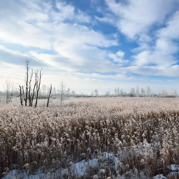 Prati Innevati Congelati Nella Campagna Russa — Foto Stock