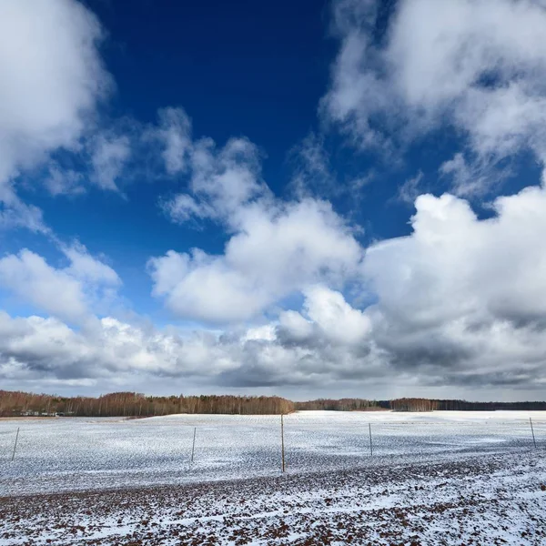 Vedere Pitorească Câmpului Agricol Acoperit Zăpadă Împotriva Cerului Tulbure — Fotografie, imagine de stoc