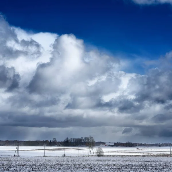 Vacker Utsikt Över Snöklädda Jordbruksområdet Mot Mulen Himmel — Stockfoto