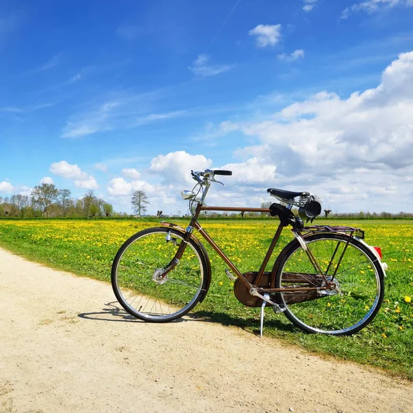 老式自行车在乡间路附近绿色领域反对蓝色天空 — 图库照片