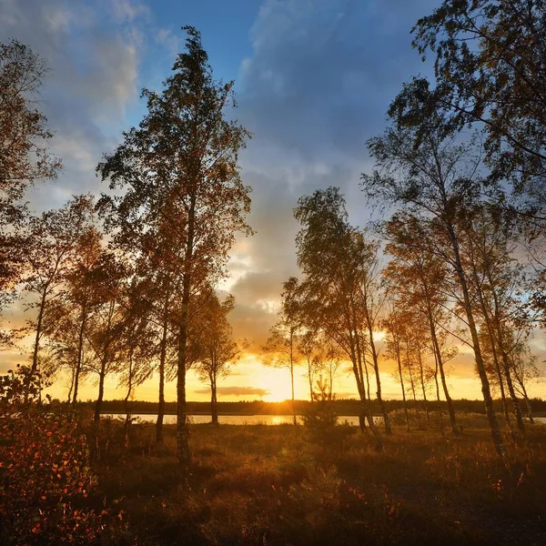 Malerischer Blick Auf Bäume Flussufer Gegen Bewölkten Himmel — Stockfoto