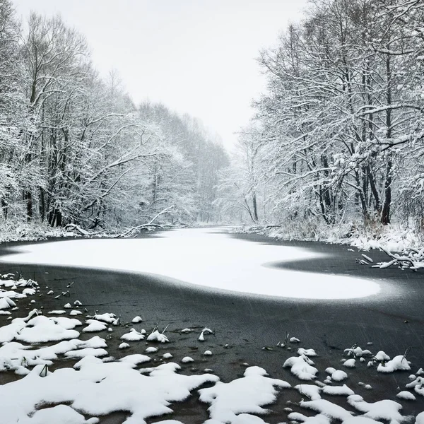 ラトビアの表面に新鮮な雪で覆われた森林湖 — ストック写真