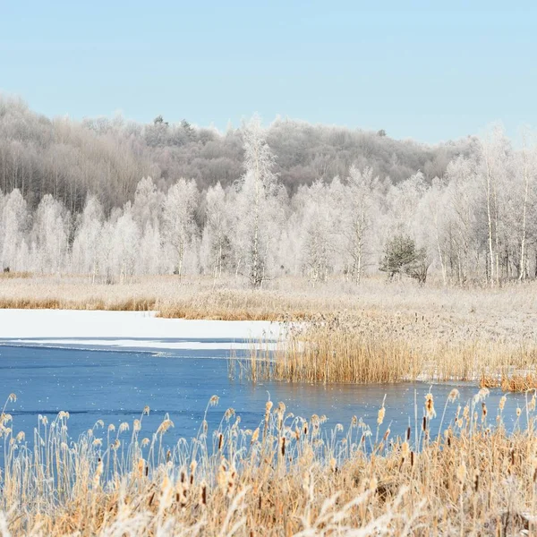 Blå Frusen Sjö Omgiven Snöklädda Ängar Och Skog Täckt Rimfrost — Stockfoto