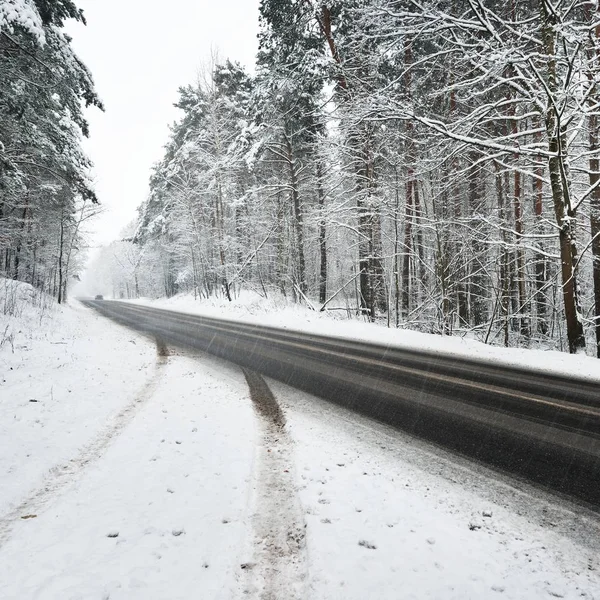 Estrada Reta Asfalto Uma Floresta Coberta Neve Letônia — Fotografia de Stock