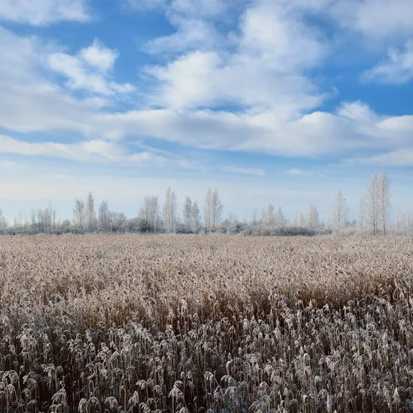 Bevroren Besneeuwde Weide Russische Platteland — Stockfoto