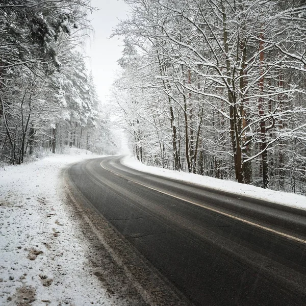 Böjda Asfaltvägen Skog Som Täckt Med Snö Lettland — Stockfoto