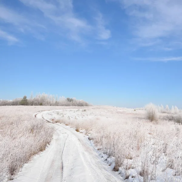 Vägen Genom Snowcovered Ryska Landsbygden Vintertid — Stockfoto