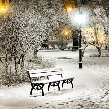 Ağaçlar ve banklar eski şehir parkı Riga kar