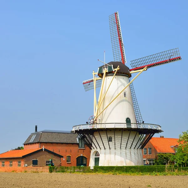 古典荷兰风景与白色风车在领域反对蓝色天空 — 图库照片
