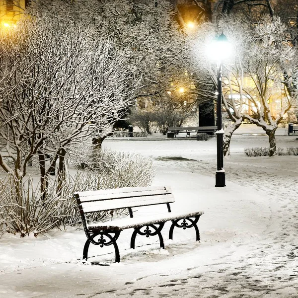 里加老城公园的树木和长凳上的雪 — 图库照片