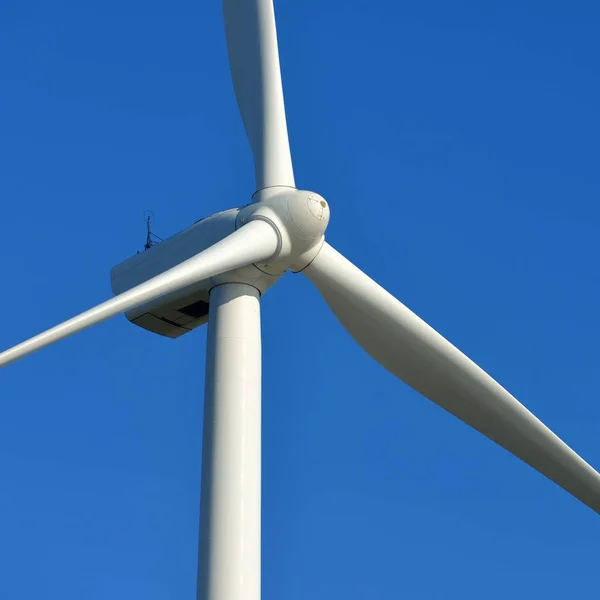 白色风力涡轮机对晴朗的天空在泽兰 — 图库照片