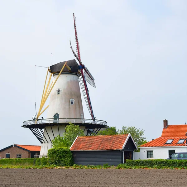 Paysage Hollandais Classique Avec Moulin Vent Blanc Sur Terrain Contre — Photo