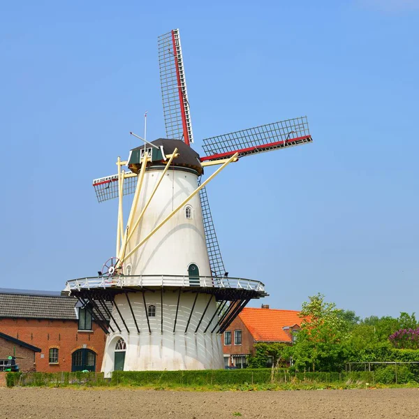 Классический Голландский Пейзаж Белой Ветряной Мельницей Поле Против Голубого Неба — стоковое фото