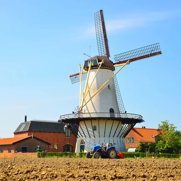 Paysage Hollandais Classique Avec Moulin Vent Blanc Sur Terrain Contre — Photo