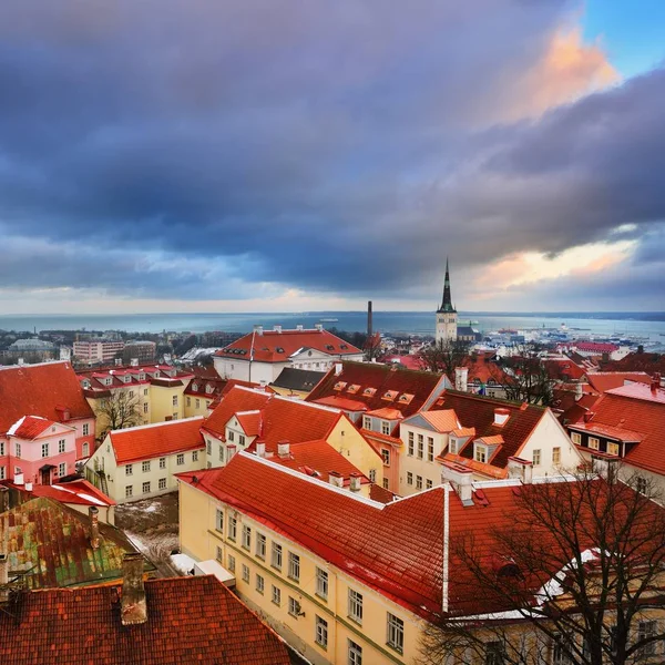 Pohled Střechy Města Tallinn Soumraku Estonsko — Stock fotografie