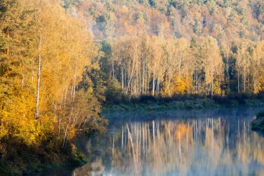 Gauja nehri ve ormanı üzerinde sabah sisi. Berrak gökyüzü ve renkli ağaçlar. Sigulda, Letonya