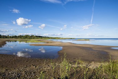 Güneşli bir günde berrak mavi gökyüzüne karşı göl manzarası, Estonya