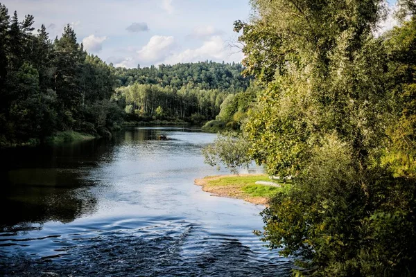 View Forest Lake Sunny Autumn Day Sigulda Latvia — Stock Photo, Image