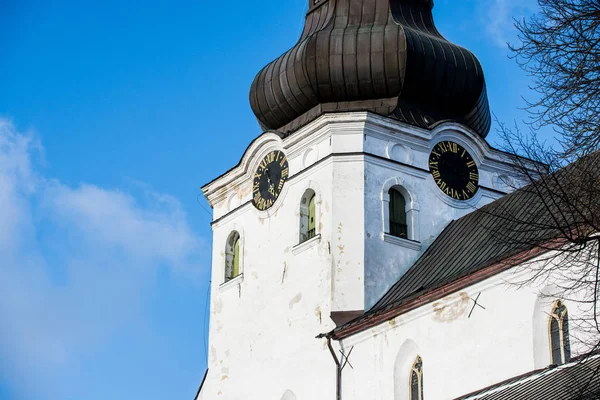 澄んだ青空に対する聖マリア大聖堂のクローズアップ タリン エストニア — ストック写真