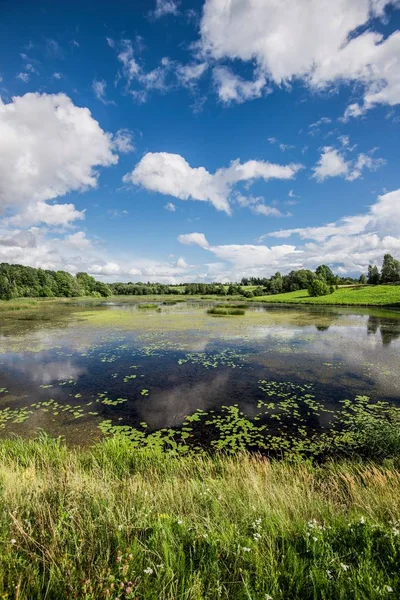 View Small Country Lake Village Green Forest Background Latvia — Stock Photo, Image