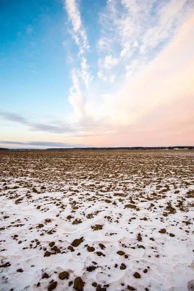 Utsikt Över Snötäckta Land Fälten Vid Solnedgången Skogen Bakgrunden Lettland — Stockfoto