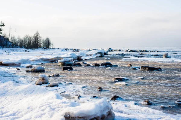 Paisagem Inverno Mar Coberto Neve Árvores Verdes Contra Céu Azul — Fotografia de Stock