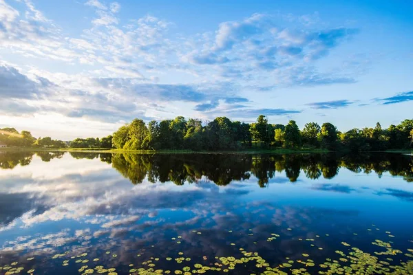 Gondolatok Vízen Kilátás Tóra Egy Erdő Háttérben Summer Sunset Lettország — Stock Fotó