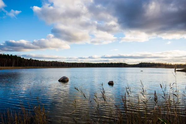 Podzimní Krajina Pohled Řeku Proti Zatažené Modré Obloze Lotyšsko — Stock fotografie