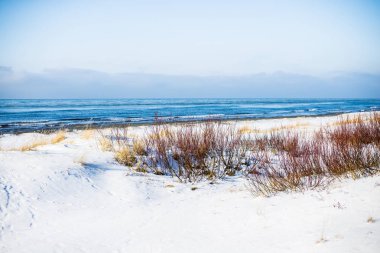 Açık bir kış gününde soğuk Baltık denizinin görünümü, Letonya