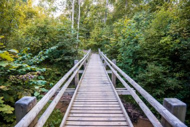 Yeşil ormanda ahşap bir köprü. Sonbahar manzarası. Sigulda, Letonya