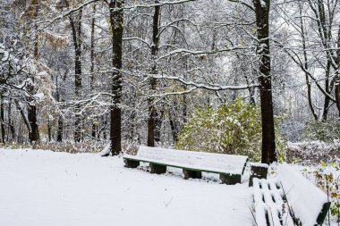 Bulutlu bir kış gününde karla kaplı park. Riga, Letonya