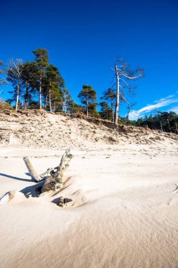 Güneşli bir günde c;lear mavigökyüzü altında Baltık sahilinin görünümü, Letonya