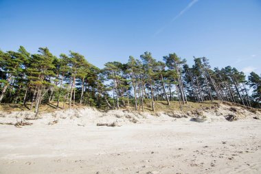 Güneşli bir günde c;kulak mavisi gökyüzünün altında Baltık sahilinin manzarası, Letonya