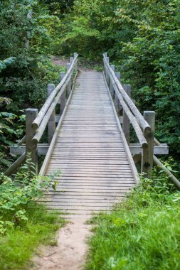 Yeşil ormanda ahşap bir köprü. Sonbahar manzarası. Sigulda, Letonya
