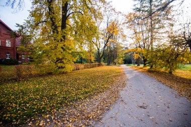 Sonbahar manzarası. Güneşli bir günde parkta renkli ağaçlar. Riga, Letonya