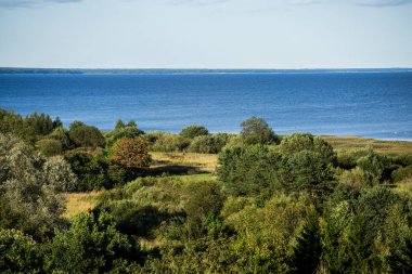 Güneşli bir günde berrak mavi gökyüzüne karşı göl manzarası, Estonya