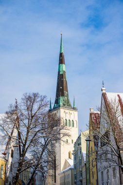 Kış. Tallinn Old Town, Estonya, açık güneşli bir günde. St. Olaf Kilisesi yakın çekim