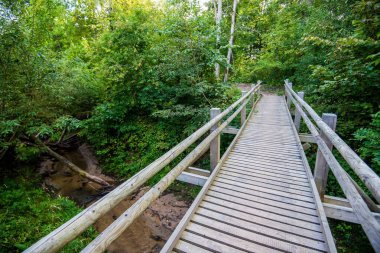 Yeşil ormanda ahşap bir köprü. Sonbahar manzarası. Sigulda, Letonya