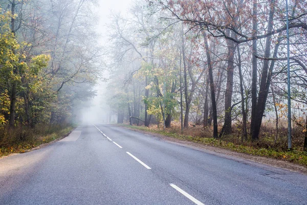 Uma Paisagem Floresta Outono Uma Vista Estrada Asfalto Letónia — Fotografia de Stock