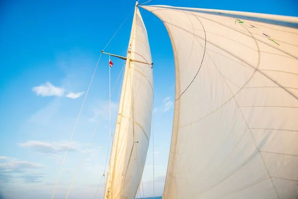 Velas Blancas Del Yate Contra Cielo Azul Mar Báltico Letonia — Foto de Stock