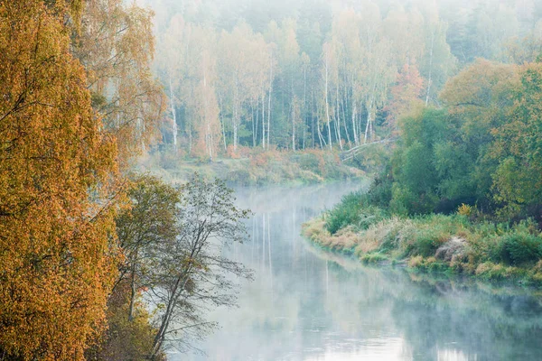 Niebla Matutina Sobre Río Gauja Bosque Cielo Despejado Árboles Coloridos — Foto de Stock