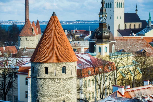 爱沙尼亚塔林老城 在晴朗的晴天 城市塔特写 — 图库照片