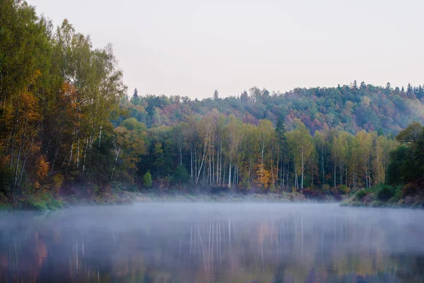 Ochtend Mist Gauja Rivier Bos Heldere Lucht Kleurrijke Bomen Sigulda — Stockfoto
