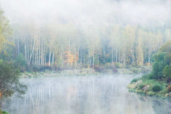 Morning Fog Gauja River Forest Clear Sky Colorful Trees Sigulda — Stock Photo, Image