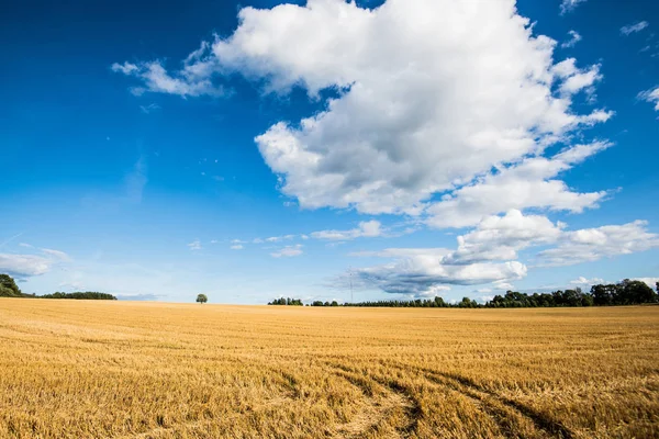 Panoramatický Pohled Zemědělskou Oblast Země Slunečného Dne Estonsko — Stock fotografie